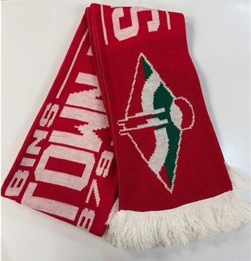 STFC 1879 Scarf
