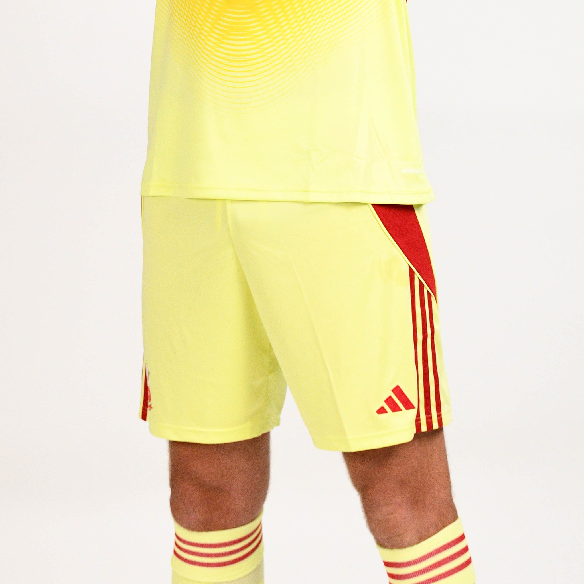 Swindon Town 25/26 Home Goalkeeper Shorts - Adults
